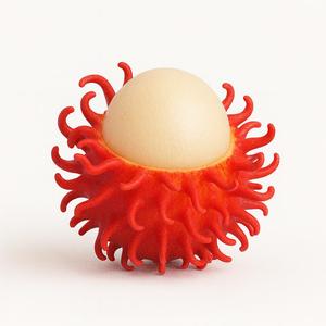 Exotic Rambutan Fruit