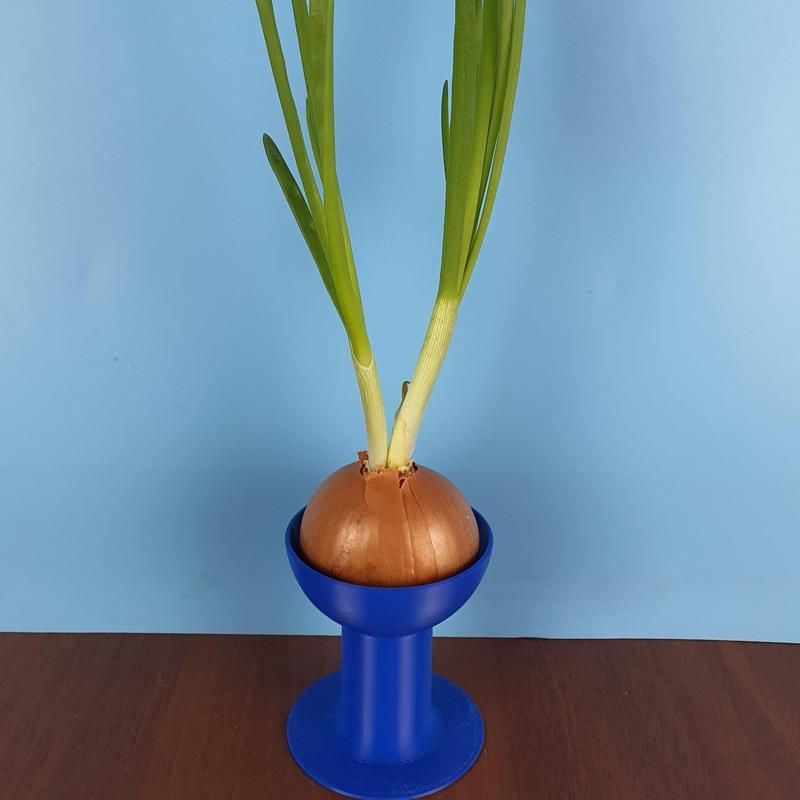 Green Onion Grower Cup