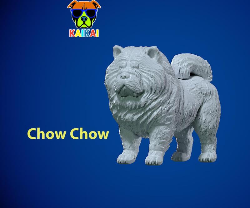 Chow Chow Dog model - Chow Dog statue - 3D print