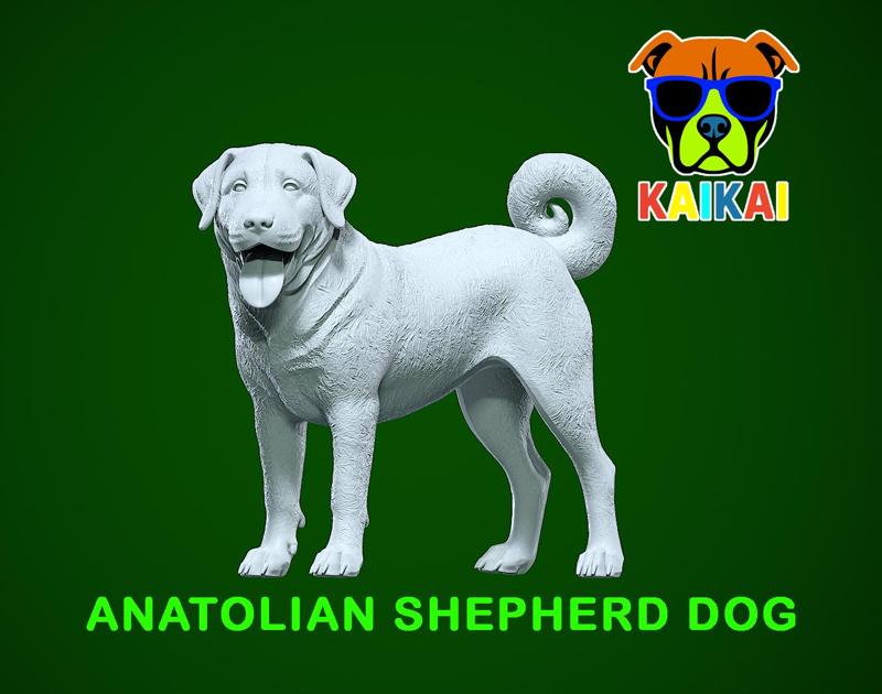 Anatolian Shepherd Dog model - 3D print