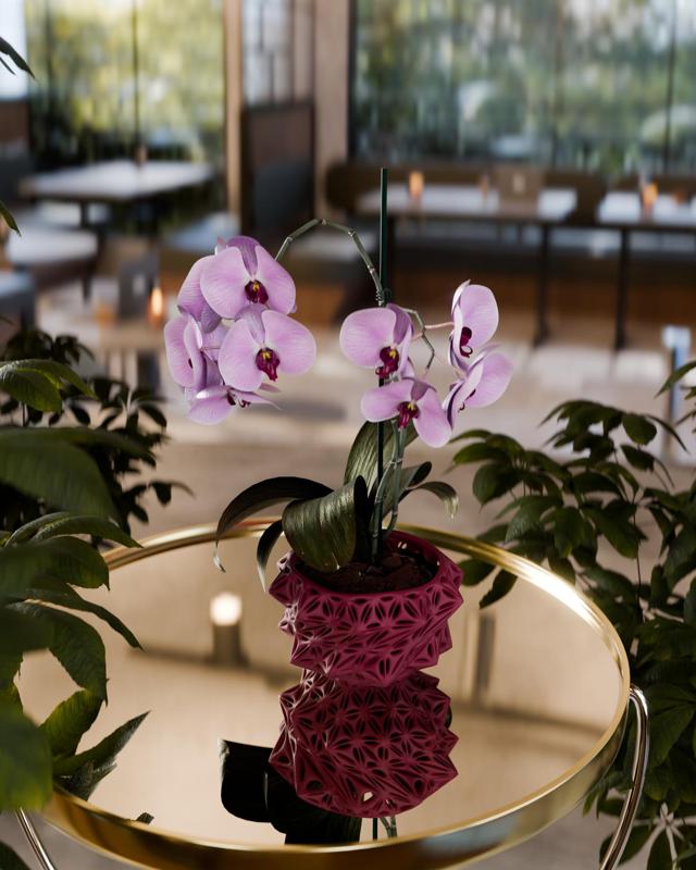 Prismatic Thorn Orchid Pot/Bowl/Planter