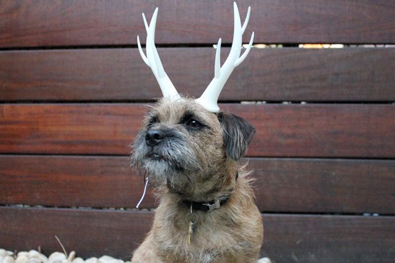 Wearable Reindeer Antlers