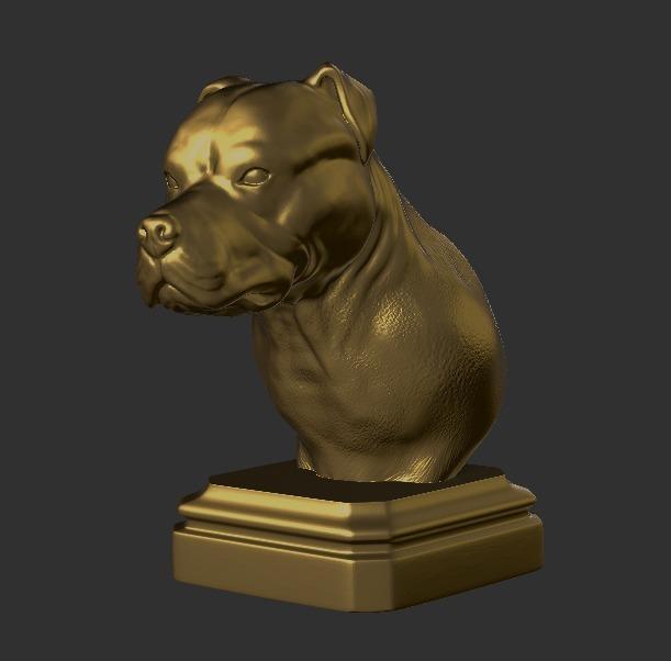PITBULL BUST