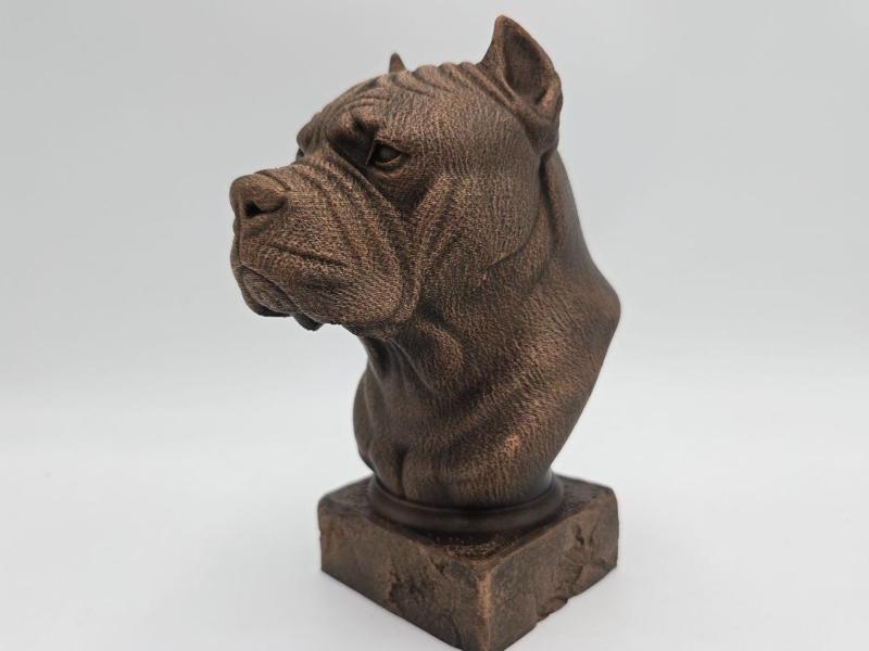 Cane Corso Bust