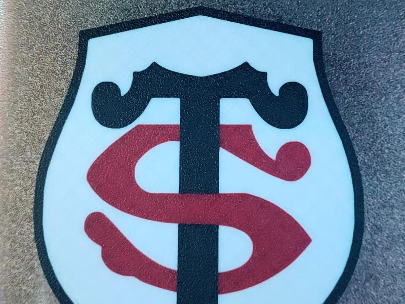 Toulouse Stadium Logo