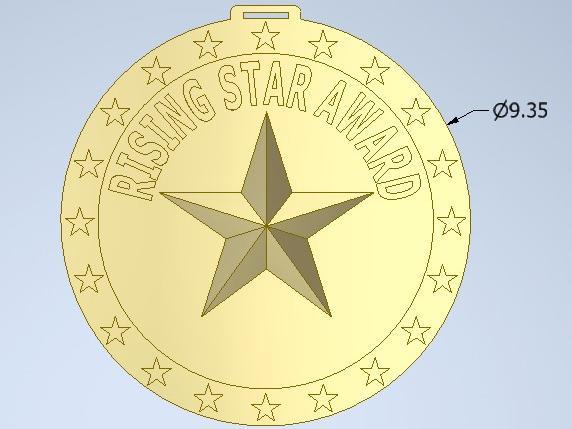 RISING STAR MEDAL AWARD CUSTOMIZABLE