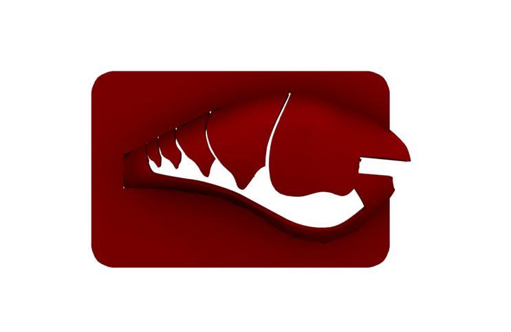 Lure Stencil -Rapala DT10 Orig (craw29)