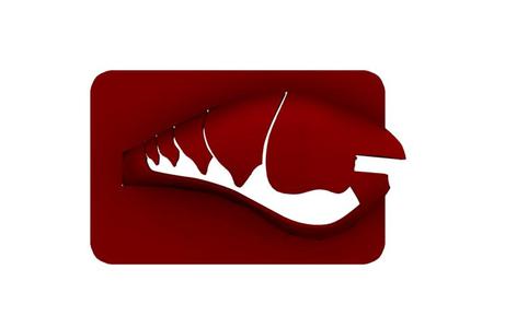 Lure Stencil -Rapala DT10 Orig (craw29)