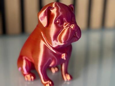 English Bulldog