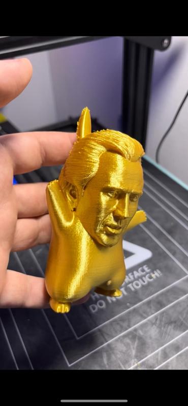 Nicolas Cage Pikachu (Pikalas Cage)