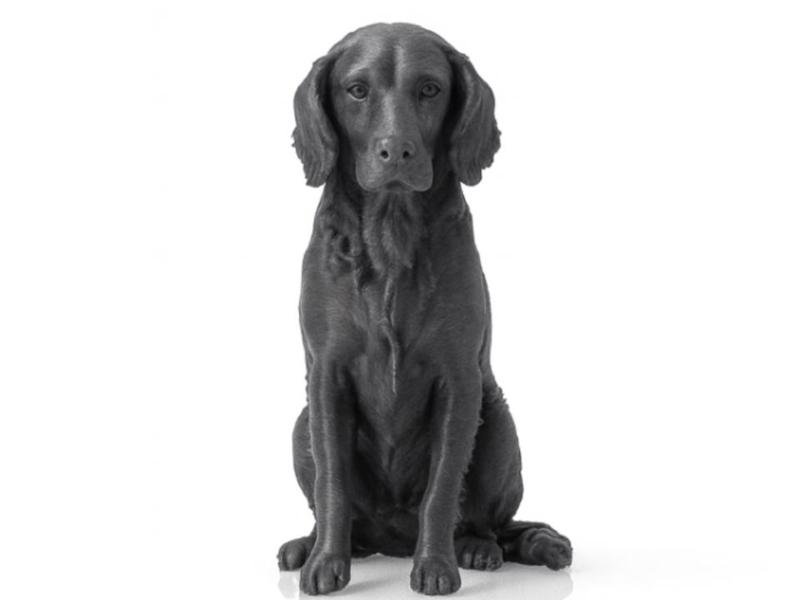 English Setter – 3D Printable Dog Statue