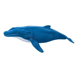 Vibrant Blue Whale