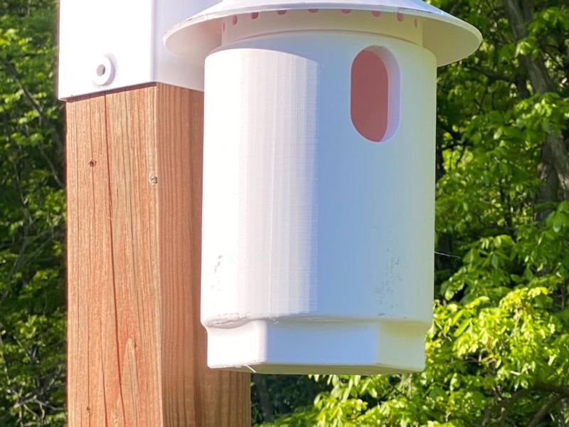 House for Eastern Bluebird