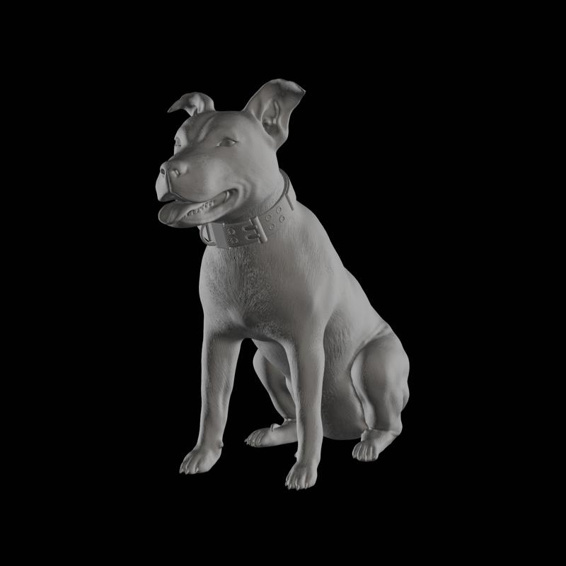 Staffordshire terrier