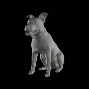 Staffordshire terrier