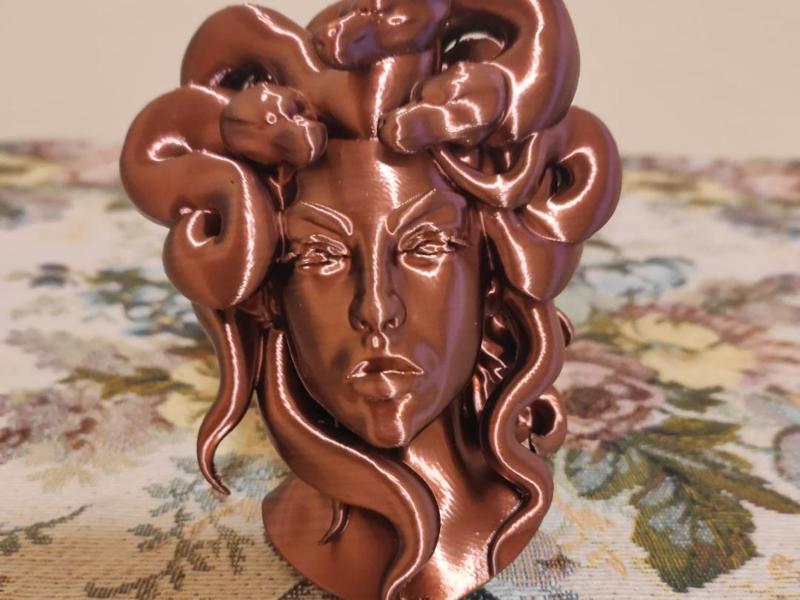 Medusa the Gorgon