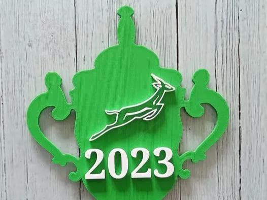 World Cup 2023 Trophy Springbok Wins