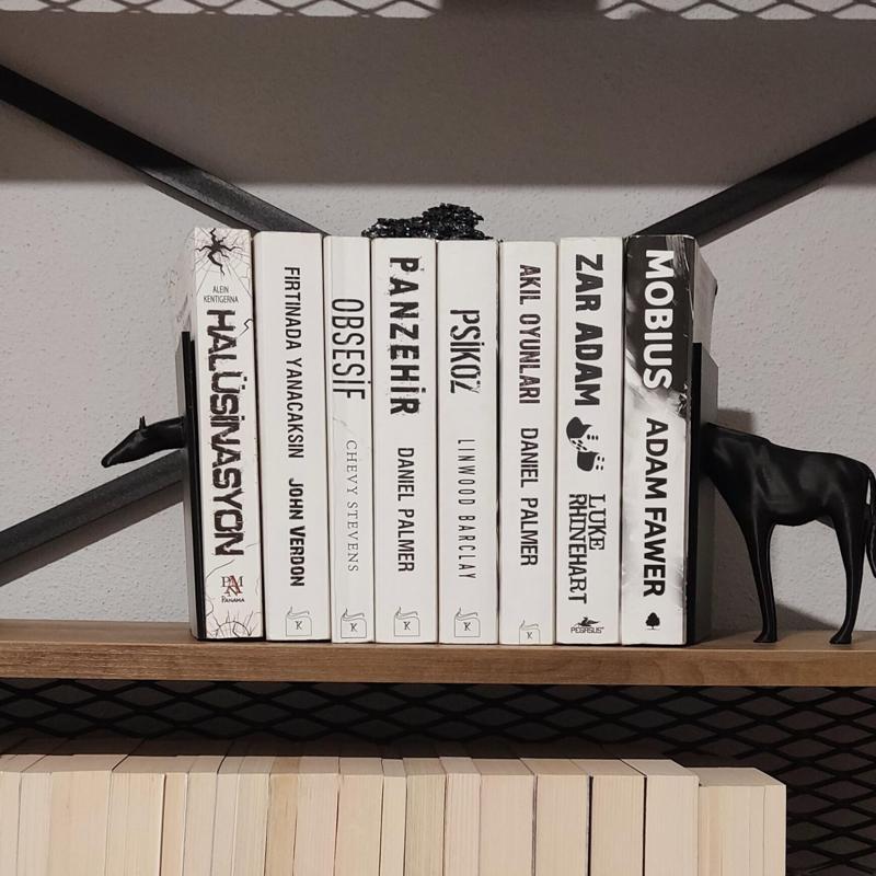 Giraffe book holder bookcase ornament