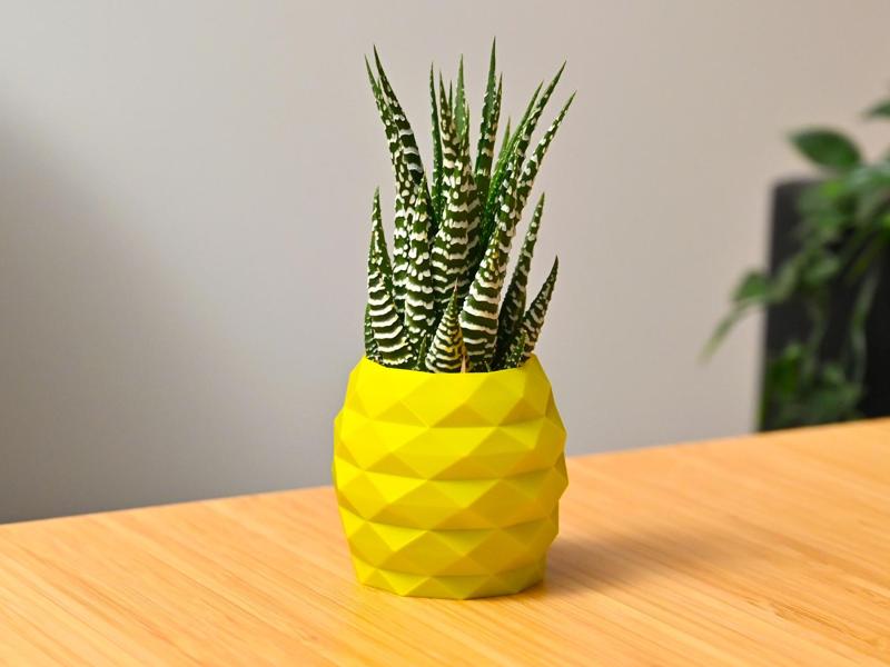 Pineapple Pot 
