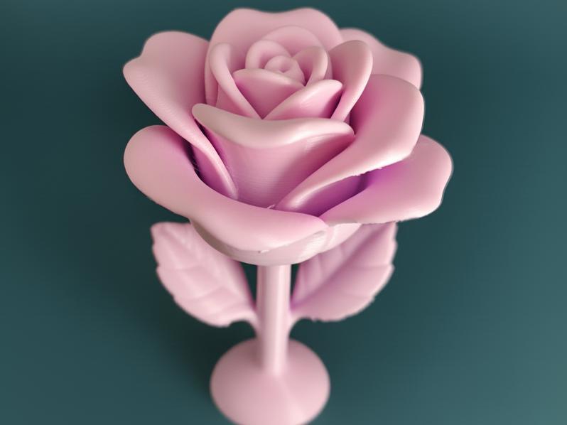 Undying Romance Beautiful little flower 