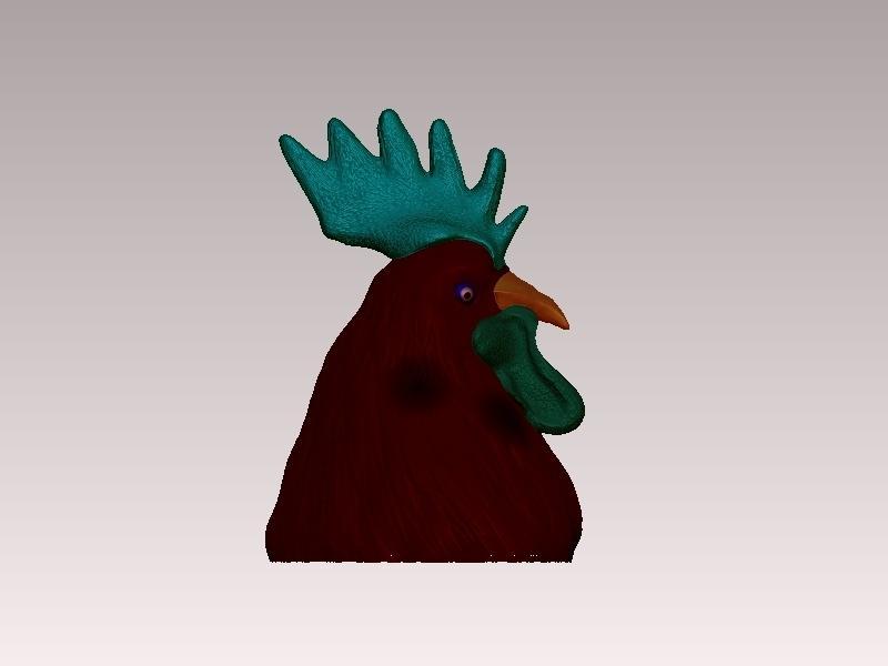 ROOSTER HEAD
