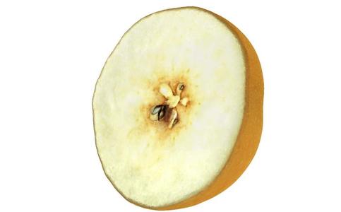 The Pear-3-Lower Half