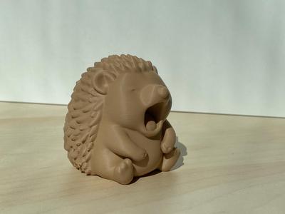 Yawning Hedgehog