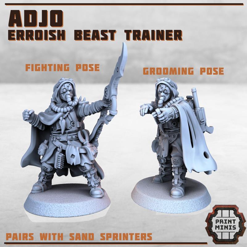 Adjo - Erroish Beast Trainer x2