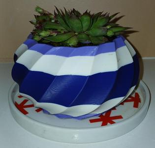 Modern Succulant Plant Pot 