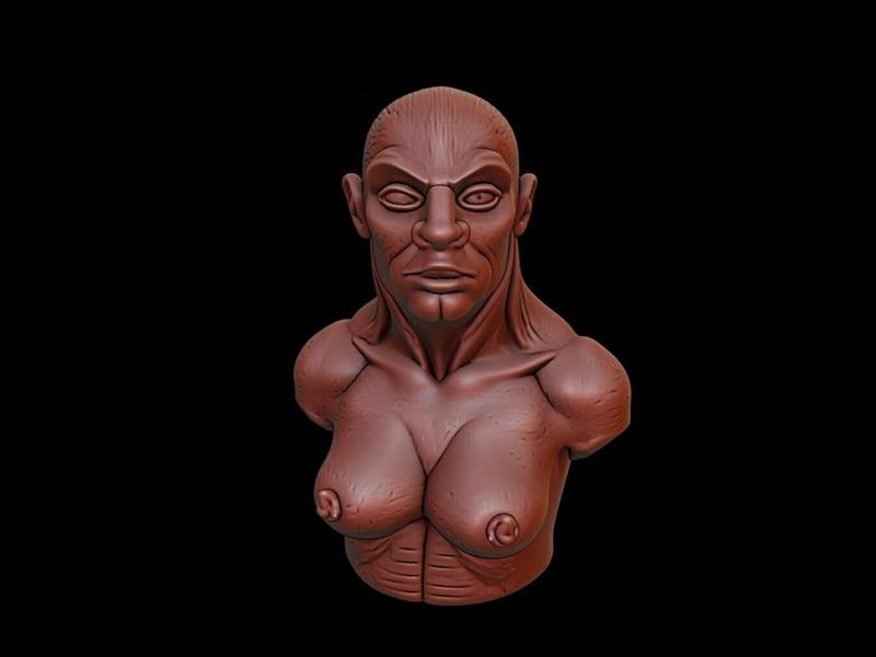 Selkie Beast Bust