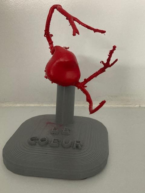 Le coeur