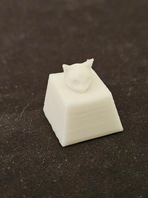 cat keycap