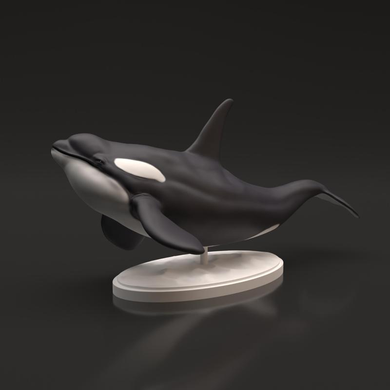 Orca