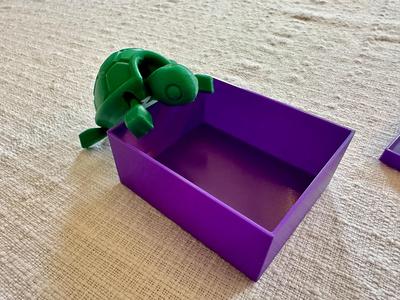 Gift Box with Lid for Cutie Baby Turtle