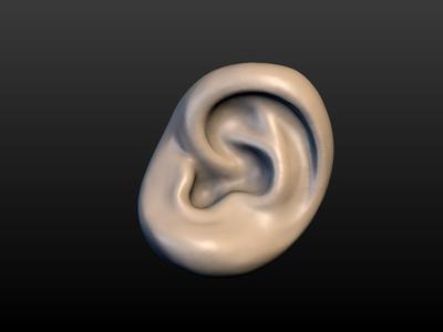Round Ear