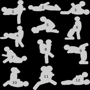 KamaCookies - Kama Sutra Cookie Cutters