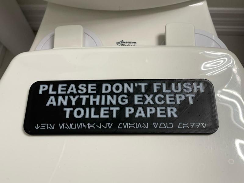 Maddy clogged the bowl