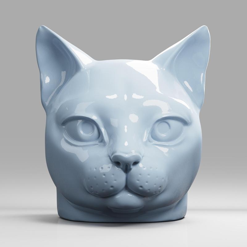Cat  Head  Cute