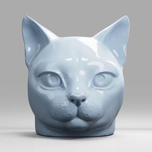 Cat  Head  Cute