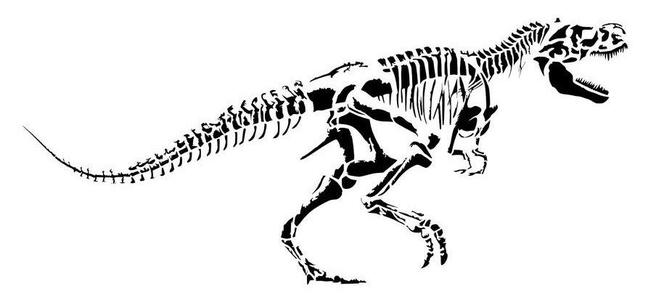 Fossil Trex stencil