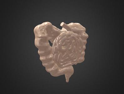LARGE AND SMALL INTESTINE
