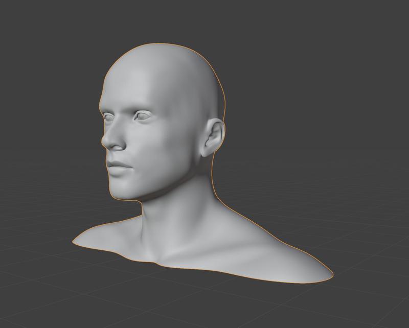 Human head - Europ male