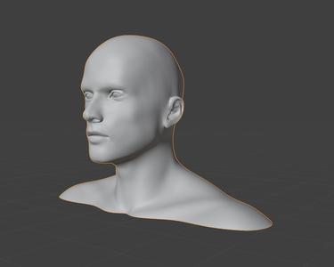 Human head - Europ male