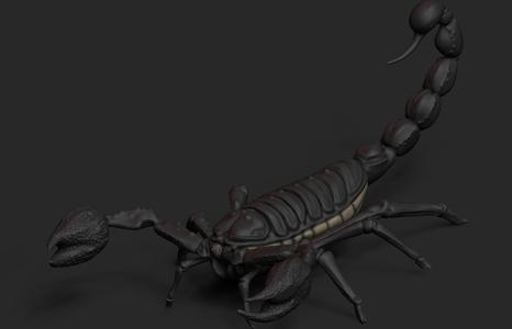 Scorpion