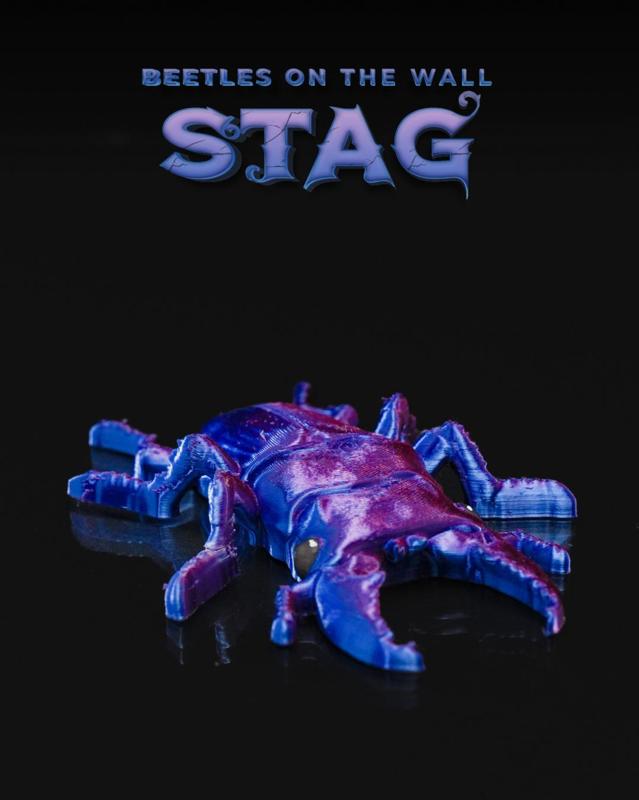 Beetles on the Wall — Stag