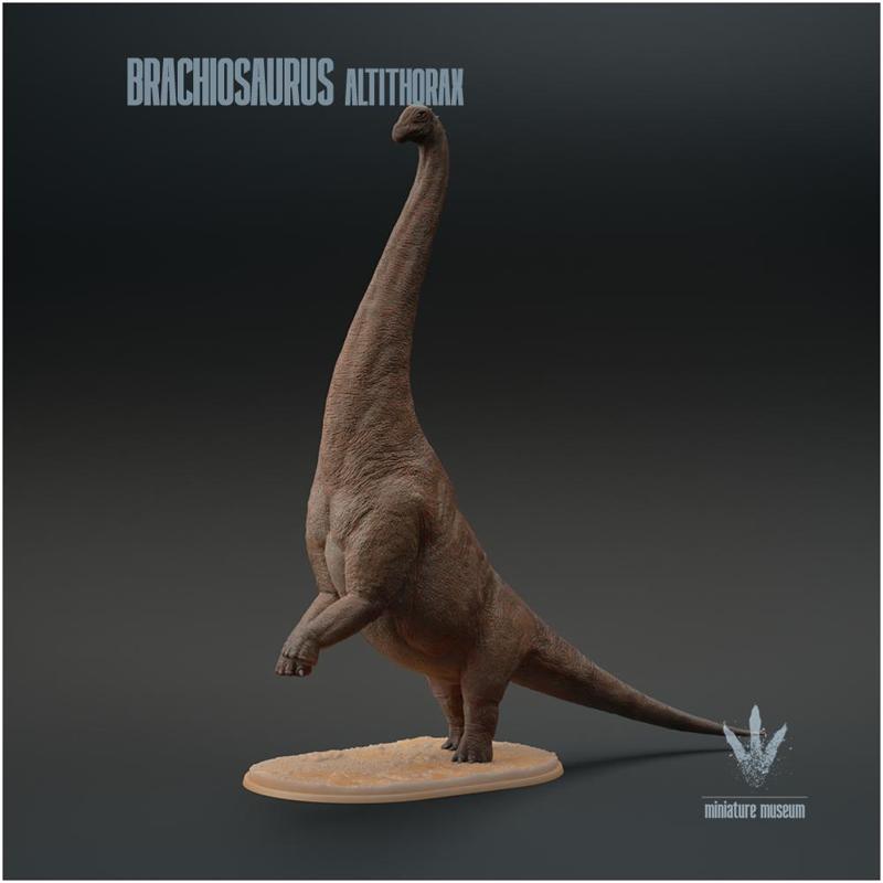Brachiosaurus altithorax : Standing
