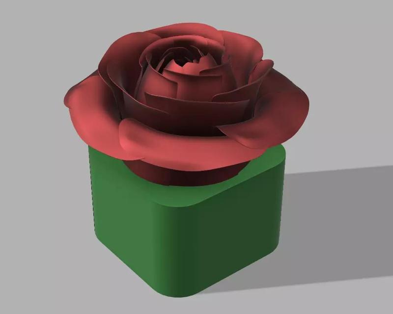 rose pot