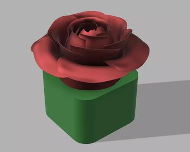 rose pot