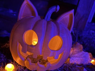 Cat Face Jack-O-Lantern Pumpkin Halloween