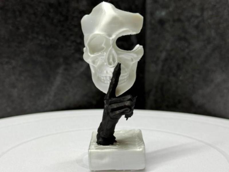 Skull mask